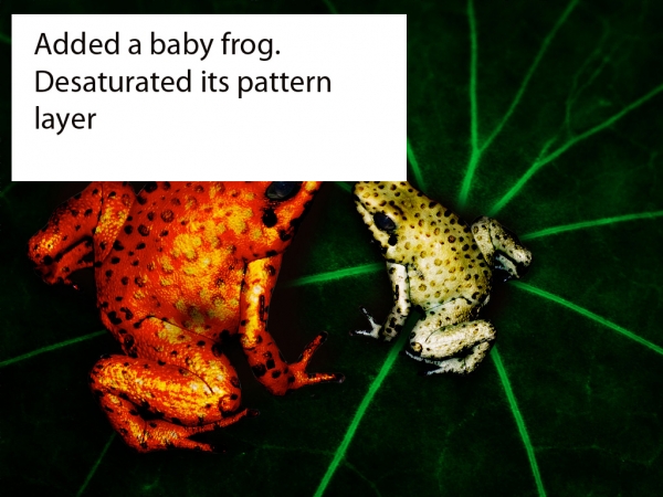 Creation of ladyfrog: Step 6